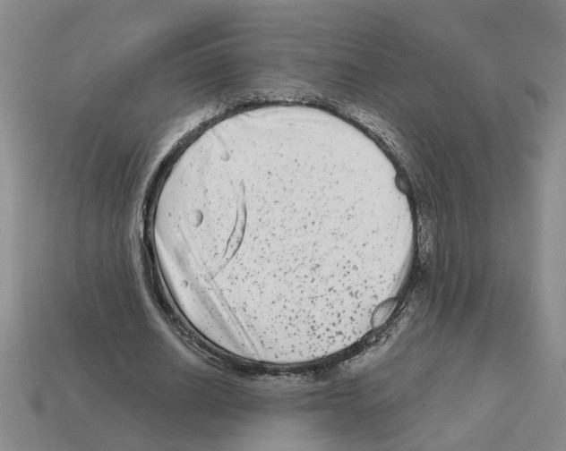 X0000112800630200910021121