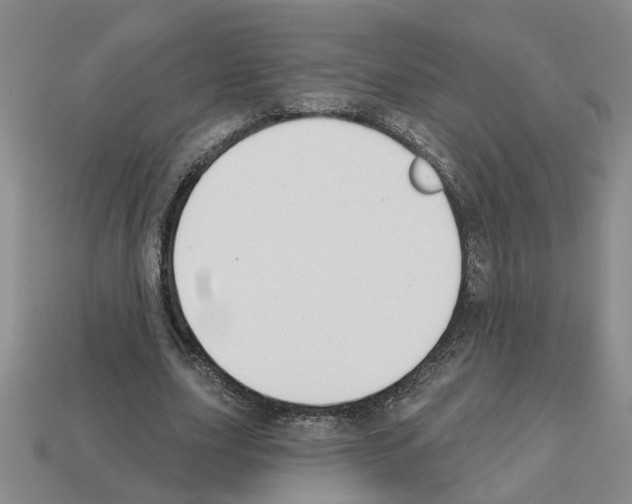 X0000112800631200910021121