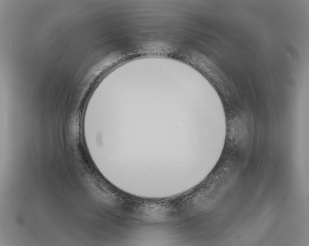X0000112800632200910021121