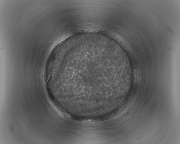 X0000112800634200910021121