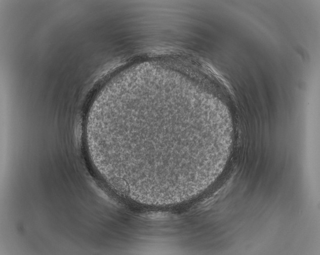 X0000112800637200910021121