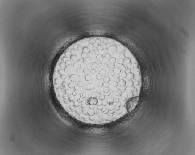 X0000112800638200910021121