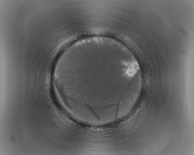 X0000112800640200910021121