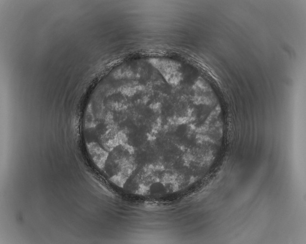 X0000112800641200910021121