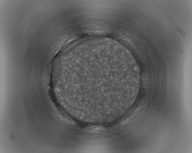 X0000112800642200910021121