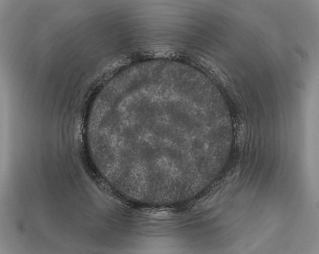 X0000112800643200910021121