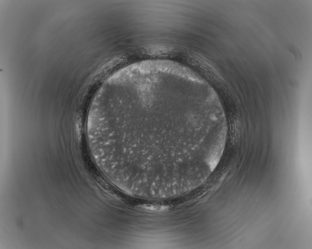 X0000112800644200910021121