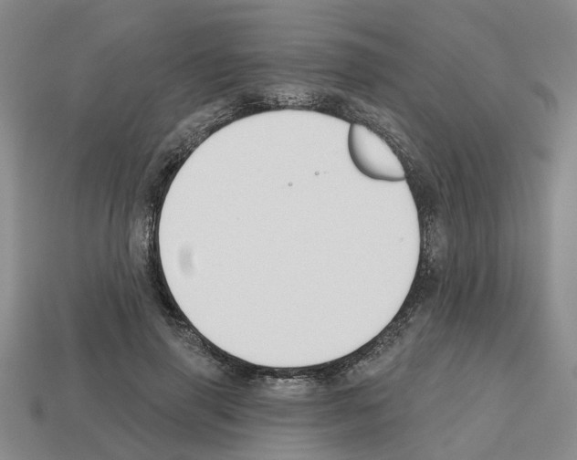X0000112800645200910021121