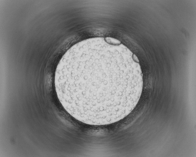 X0000112800646200910021121
