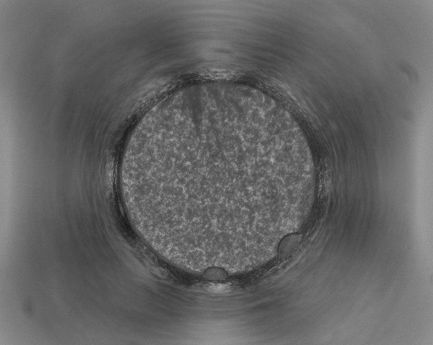 X0000112800647200910021121