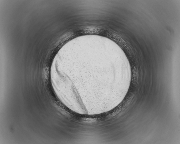 X0000112800649200910021121