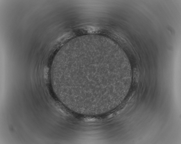 X0000112800650200910021121