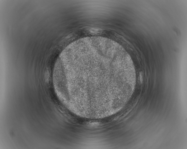 X0000112800651200910021121
