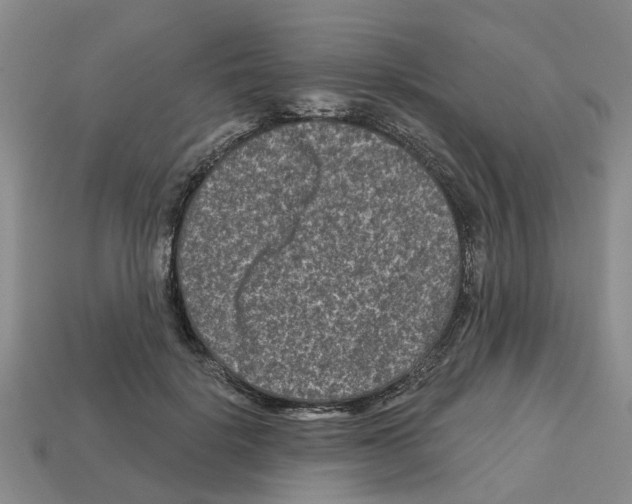 X0000112800652200910021121