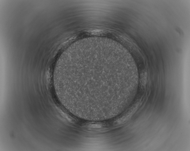 X0000112800653200910021121