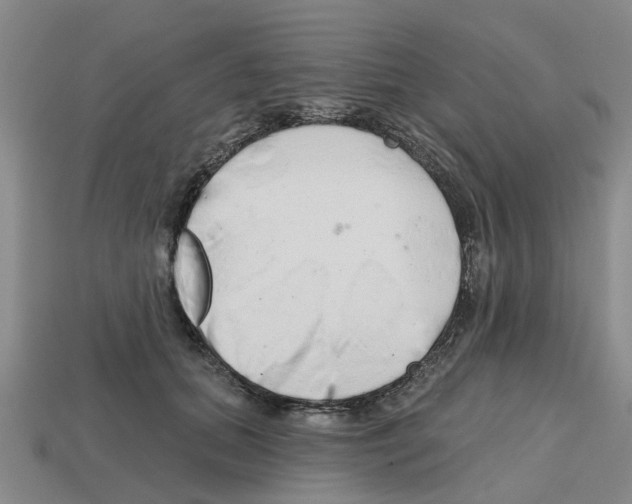 X0000112800655200910021121