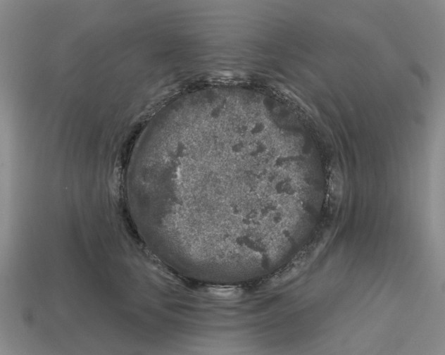 X0000112800659200910021121
