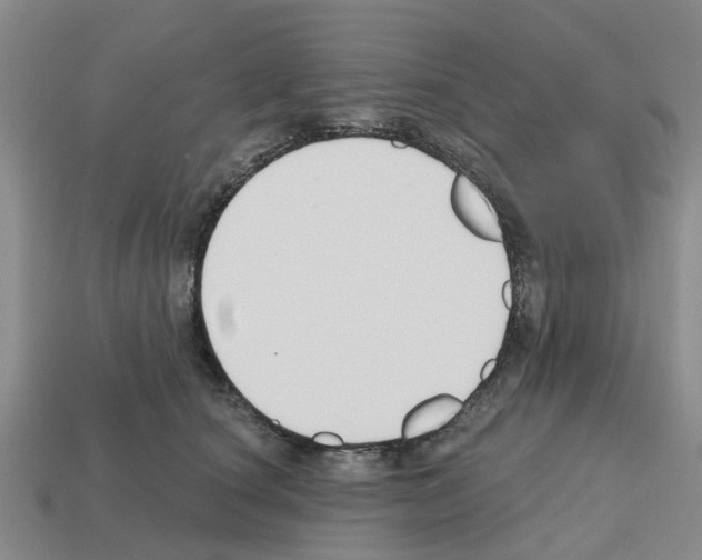 X0000112800660200910021121