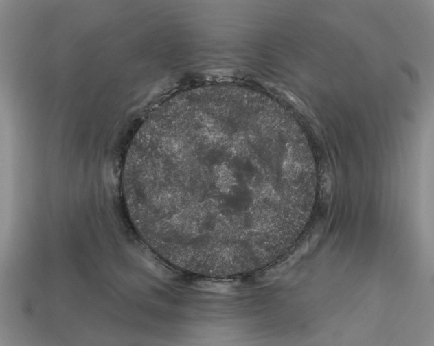 X0000112800661200910021121