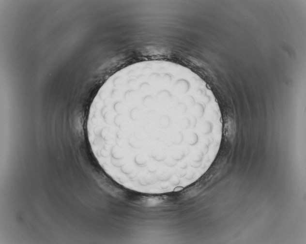 X0000112800662200910021121