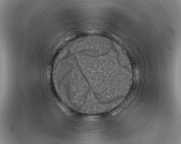 X0000112800664200910021121