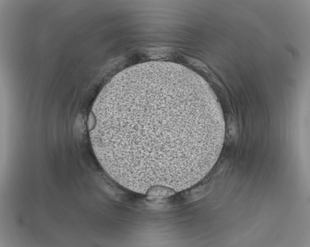X0000112800667200910021121