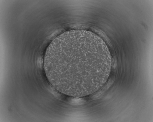 X0000112800669200910021121