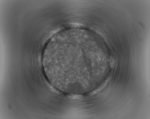 X0000112800670200910021121