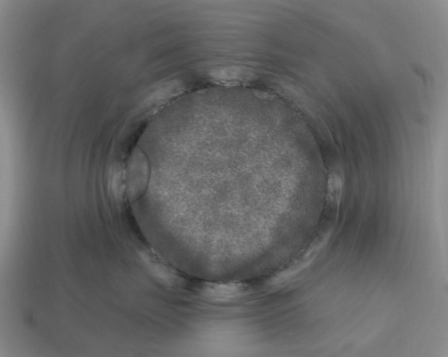 X0000112800671200910021121