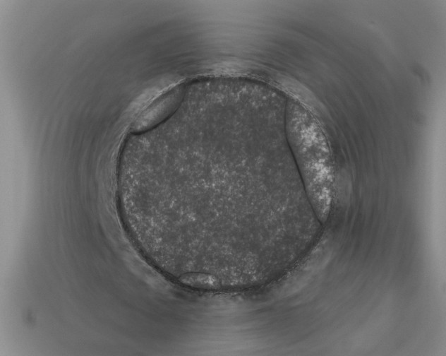 X0000112800673200910021120