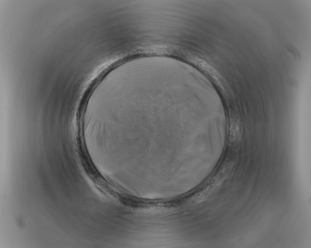 X0000112800674200910021120