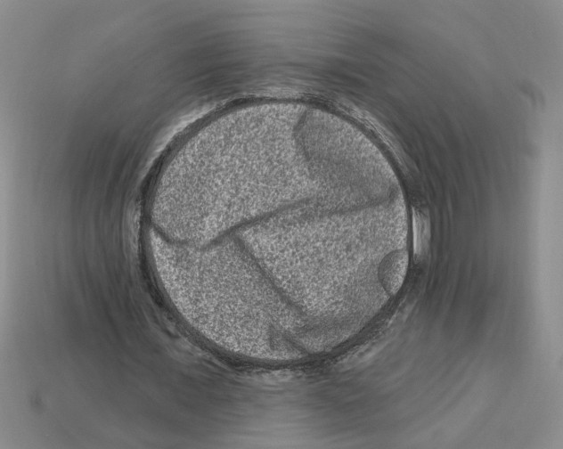 X0000112800675200910021120