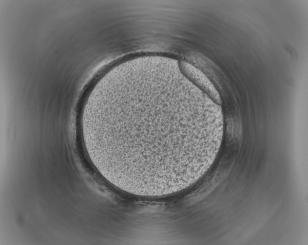 X0000112800676200910021120