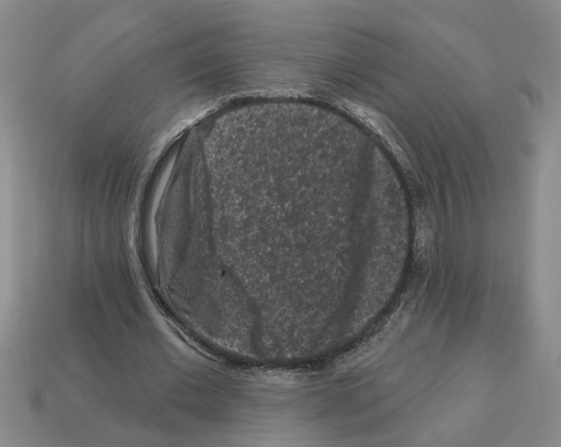 X0000112800677200910021120