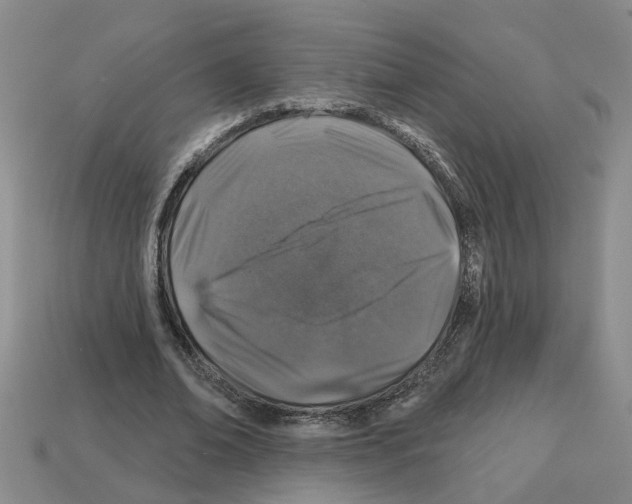 X0000112800678200910021120