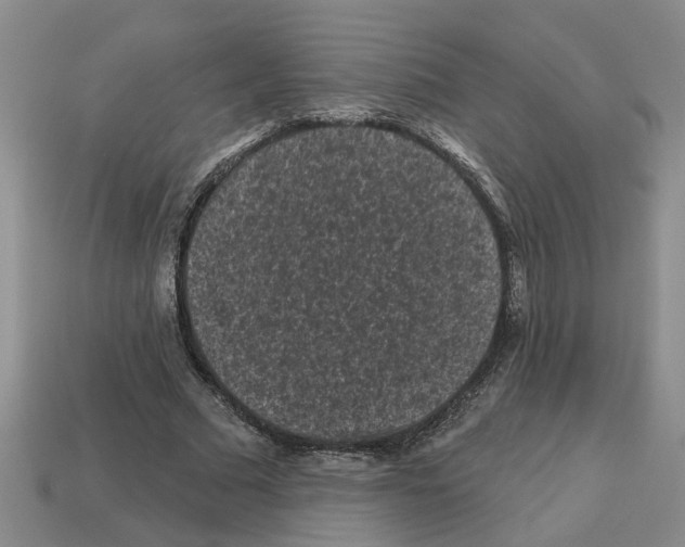 X0000112800681200910021120