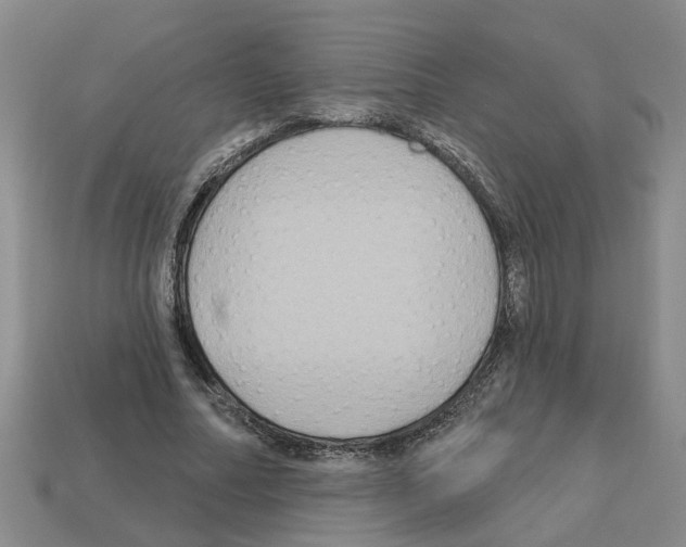 X0000112800682200910021120