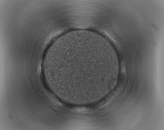 X0000112800685200910021120