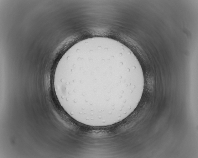 X0000112800686200910021120