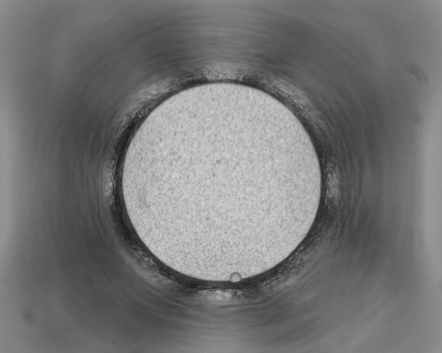 X0000112800687200910021120