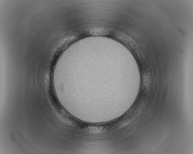 X0000112800690200910021120