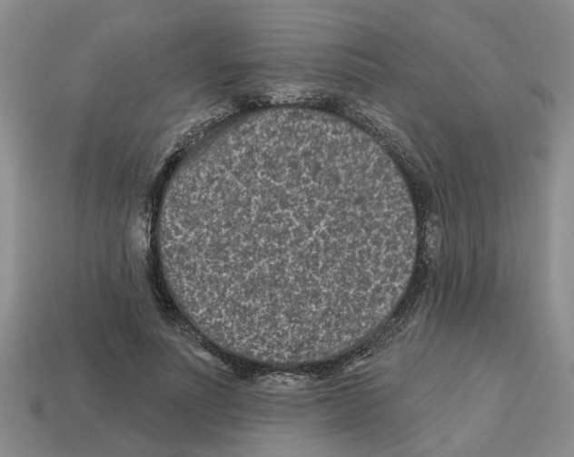 X0000112800691200910021120