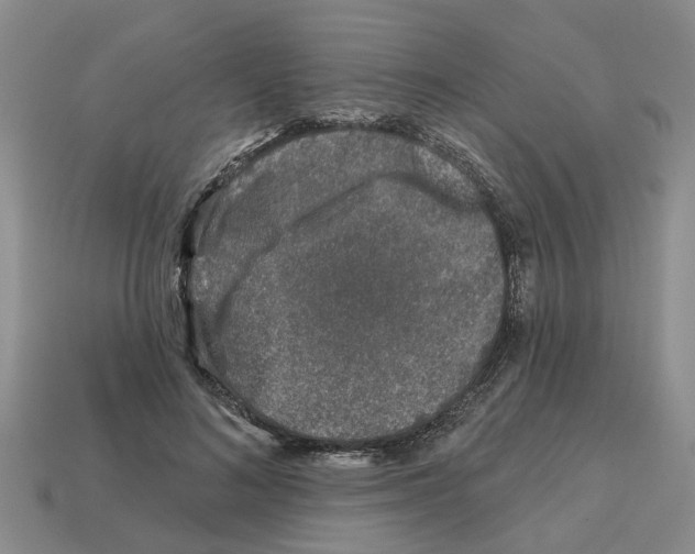 X0000112800692200910021120