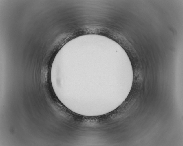 X0000112800694200910021120