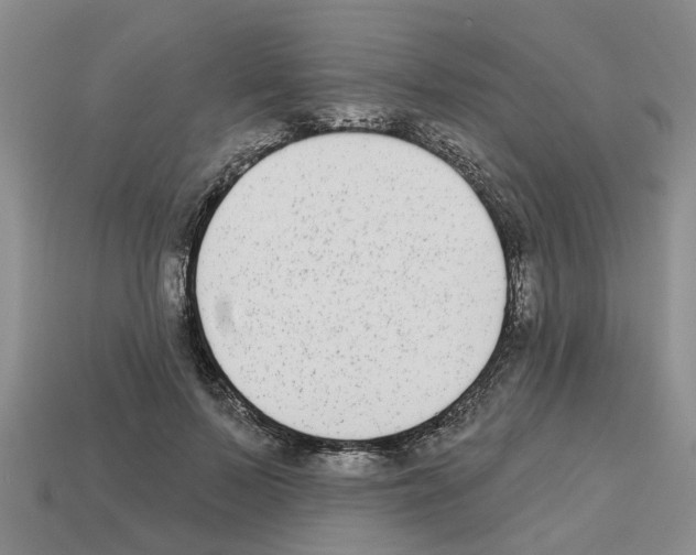 X0000112800695200910021120