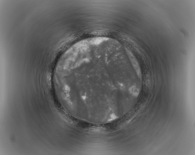 X0000112800696200910021120