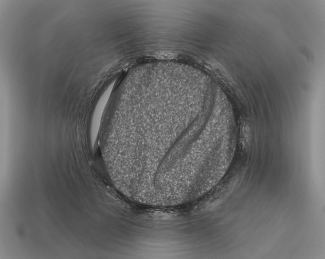 X0000112800697200910021120