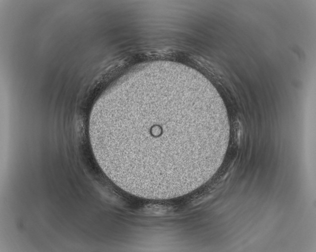 X0000112800699200910021120