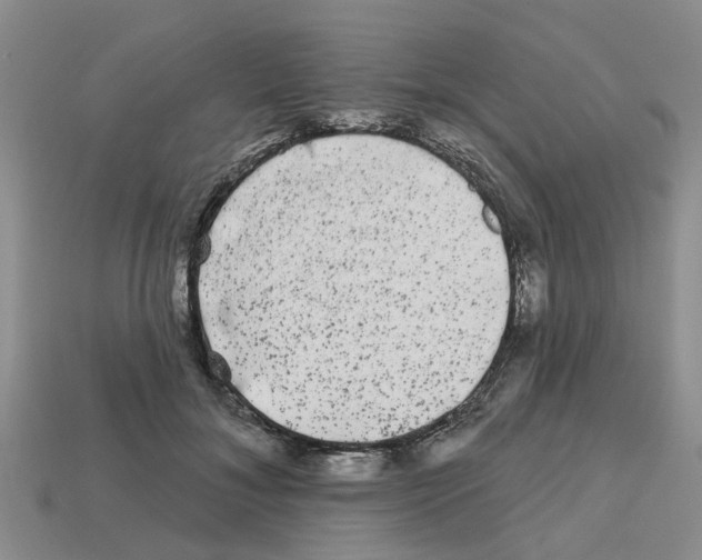 X0000112800700200910021120