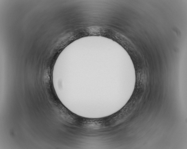 X0000112800702200910021120